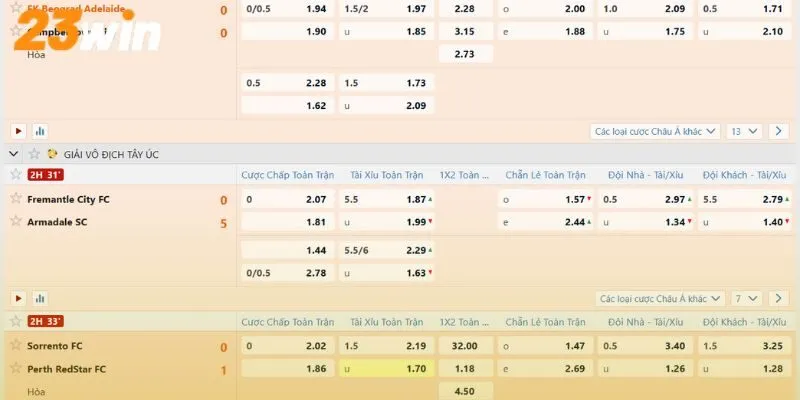 Kèo châu Âu - Cách đọc chuẩn xác và những sai lầm cần tránh